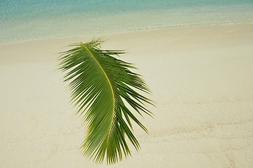 Image showing tropical beach landscape