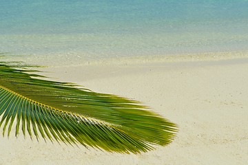 Image showing tropical beach landscape