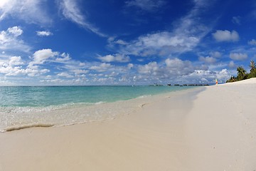 Image showing tropical beach landscape