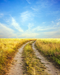 Image showing Photo of the road into a field