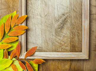 Image showing autumn leaves