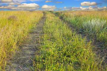 Image showing Photo of the road into a field