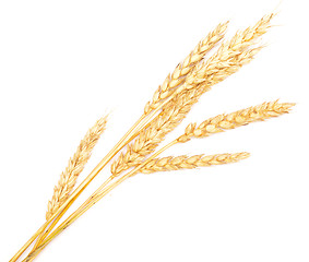 Image showing ripe wheat