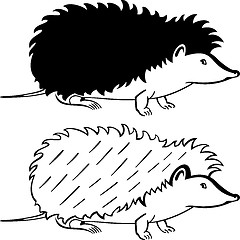 Image showing Hedgehog