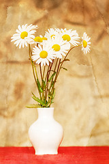 Image showing daisy flower in white vase with shallow focus