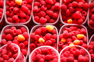Image showing Raspberries in containers for sale.