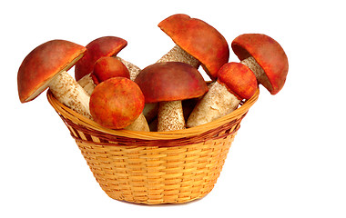 Image showing Mushrooms in a wicker basket on a white background.