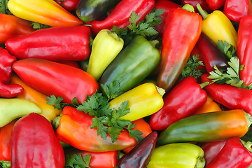 Image showing Red, yellow , green pepper and parsley leaves.