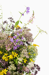 Image showing Bouquet of medicinal herbs