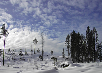 Image showing Blue sky