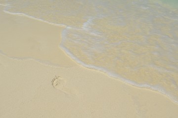 Image showing tropical beach landscape