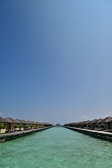 Image showing tropical beach landscape