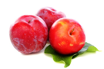 Image showing Three red plums.