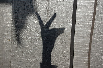 Image showing Shadow play