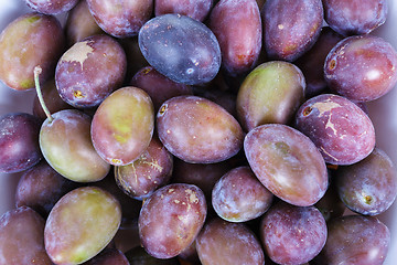 Image showing Acid purple and green Plums (Blackthorns)