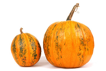 Image showing Fresh orange pumpkin