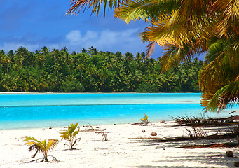 Image showing Tropical Beach Scene