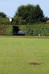 Image showing Bowling Green damage