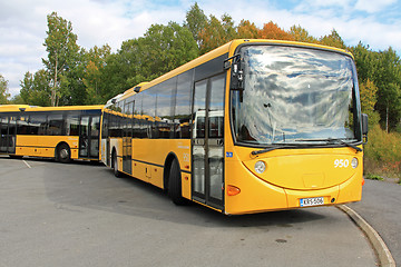 Image showing Two Yellow Urban City Buses