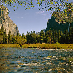 Image showing Yosemite National Park