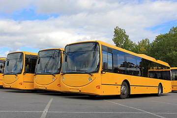 Image showing Three Smiling City Buses