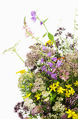 Image showing Bouquet of medicinal herbs