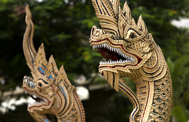 Image showing Dragons