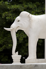 Image showing Elephant