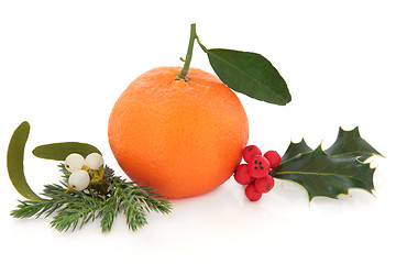 Image showing Christmas Fruit