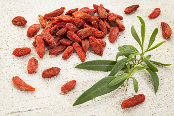 Image showing goji berry with a leaf