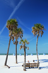 Image showing Beach Scene with Palms