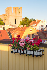 Image showing Geraniums decorating a balcony in Visby, Sweden