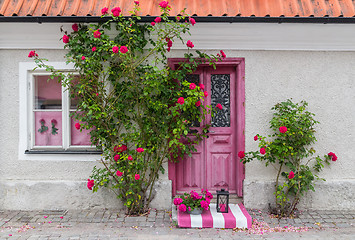 Image showing Roses decorating the house entrance