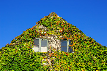 Image showing Facade of a house covered with ivy