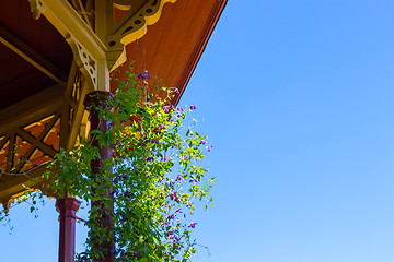 Image showing Clematis growing near a wooden veranda