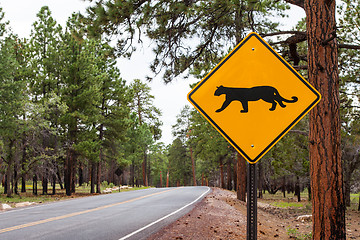 Image showing Grand Canyon Road