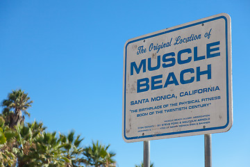 Image showing Muscle Beach