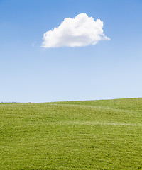 Image showing Green field in Tuscany