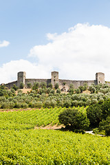 Image showing Wineyard in Tuscany