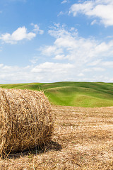 Image showing Tuscany agriculture