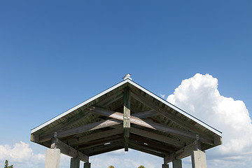 Image showing Clearwater Beach Pier 60