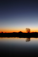 Image showing Lone Tree At Sunset