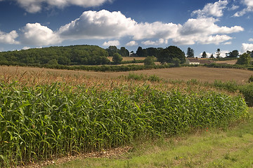 Image showing English countryside