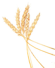 Image showing wheat