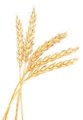 Image showing wheat