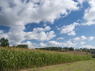 Image showing Countryside