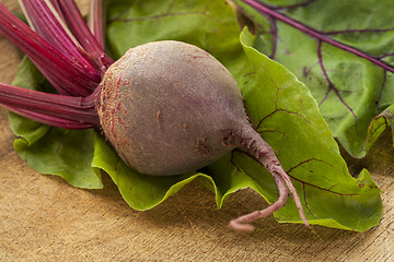 Image showing red beets