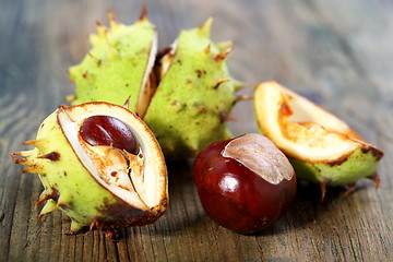 Image showing Ripe chestnuts.