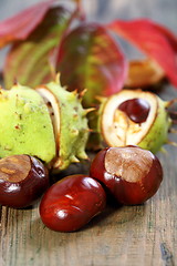 Image showing Chestnuts and autumn leaves.