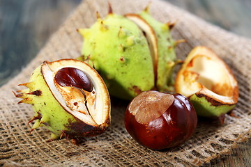 Image showing Chestnuts.